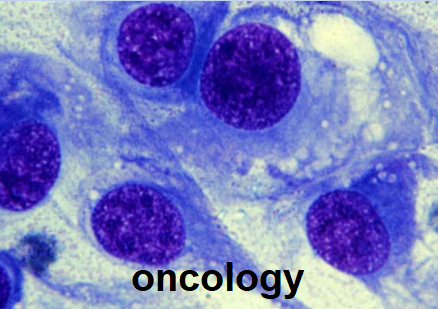 oncology